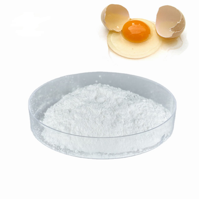 工廠供應alpha lactalbumin乳清蛋白lactalbumin粉末乳蛋白