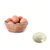 工厂供应alpha lactalbumin乳清蛋白lactalbumin粉末乳蛋白