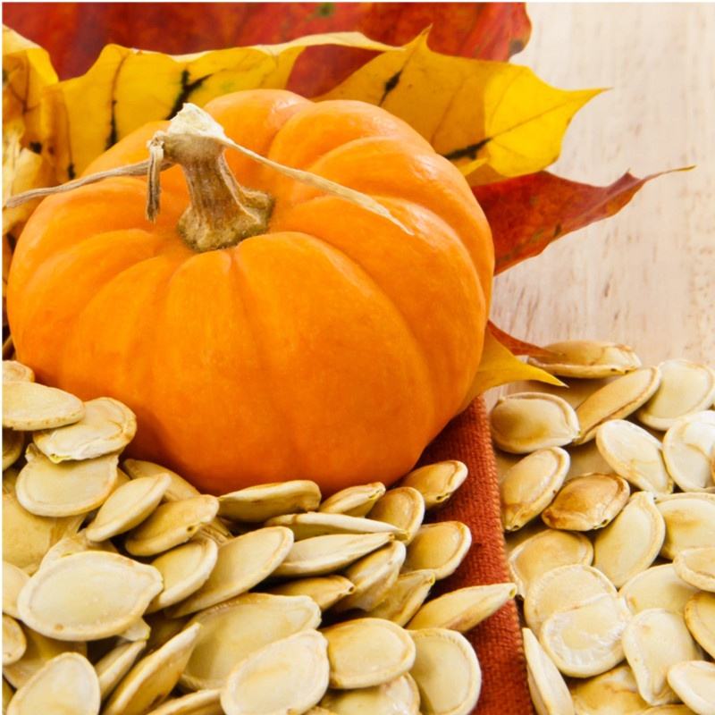 天然库班西pepo种子提取物南瓜种子提取物粉末45％脂肪酸