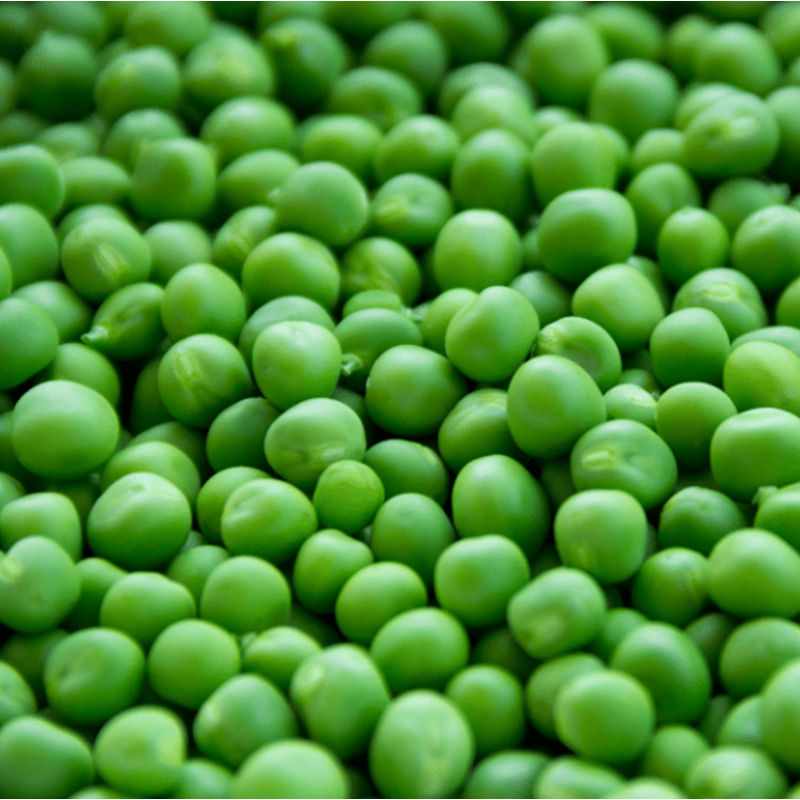 工廠供應批發價豌豆提取物豌豆蛋白80%