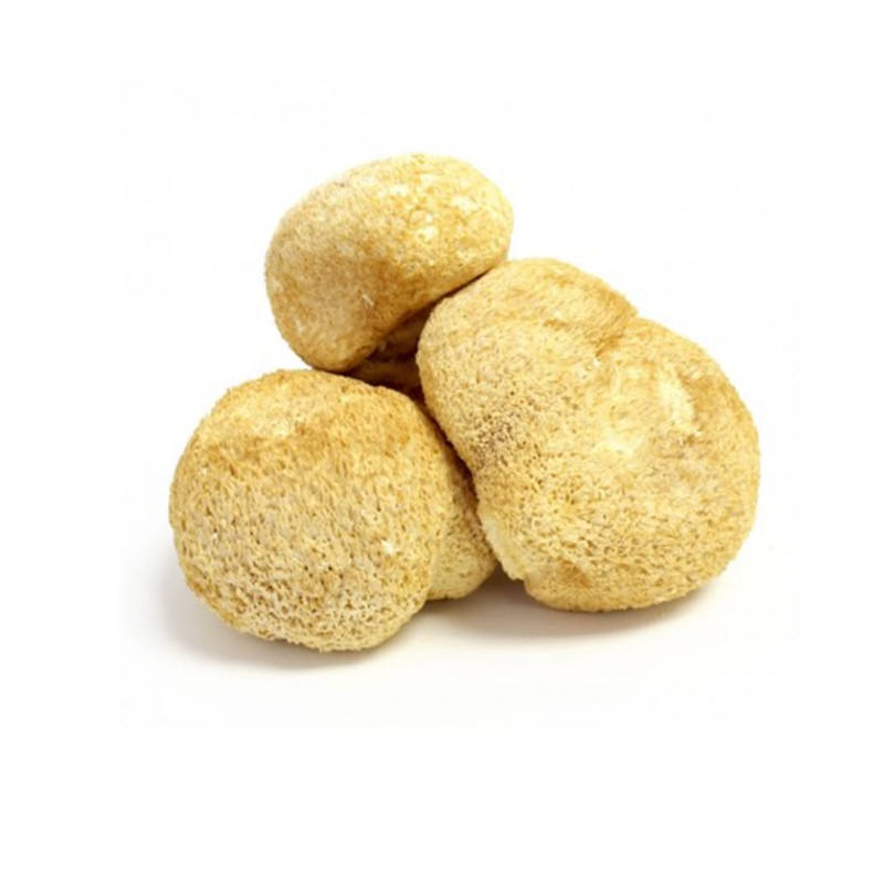 保健品天然猴头菇提取物10:1猴头菇/猴头菇提取物粉10%多糖