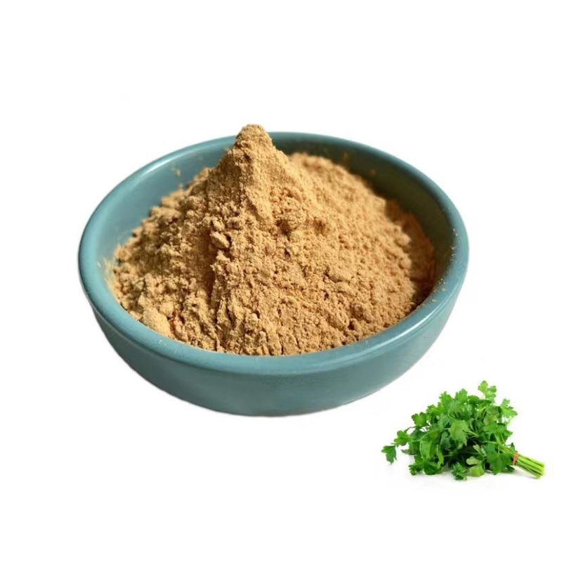 工廠供應高品質歐芹提取物 4:1 粉末