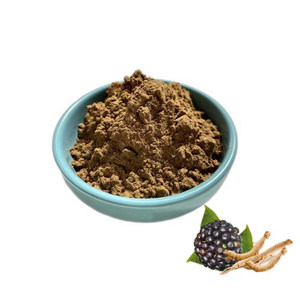 工厂供应西伯利亚人参提取物粉多糖元糖苷